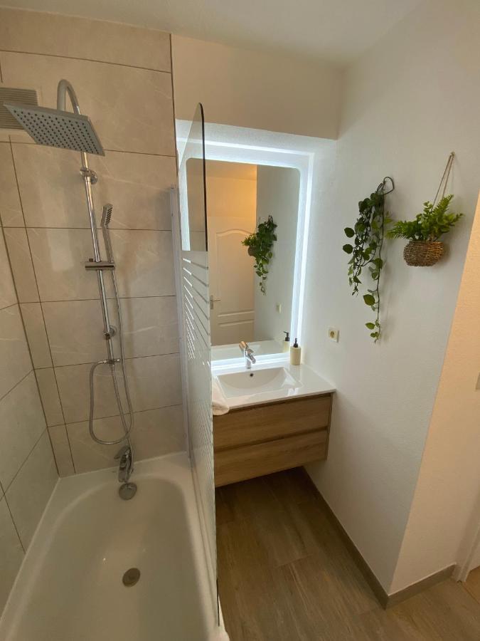 Appartement Cosy, Vue Imprenable Каркассонн Екстер'єр фото